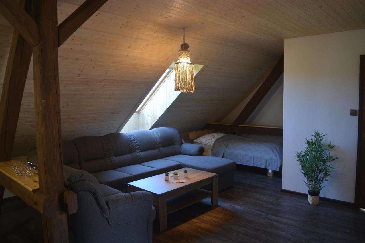 Penzion Kota 509 Janovice  ภายนอก รูปภาพ